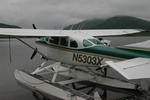 Bear Viewing Kodiak Island Alaska